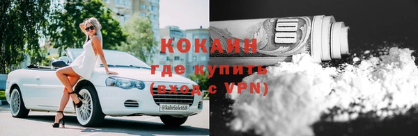 крисы Вязники
