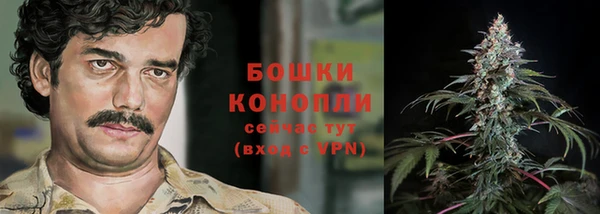крисы Вязники